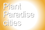 Plant Paradise